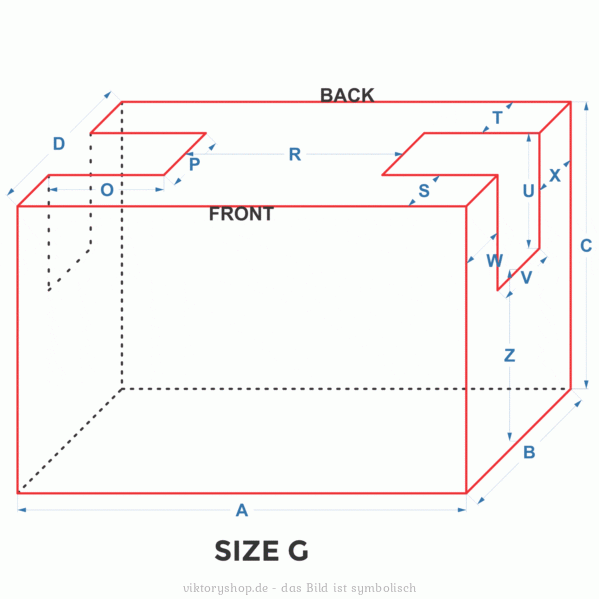 Custom amp combo cabinet G size